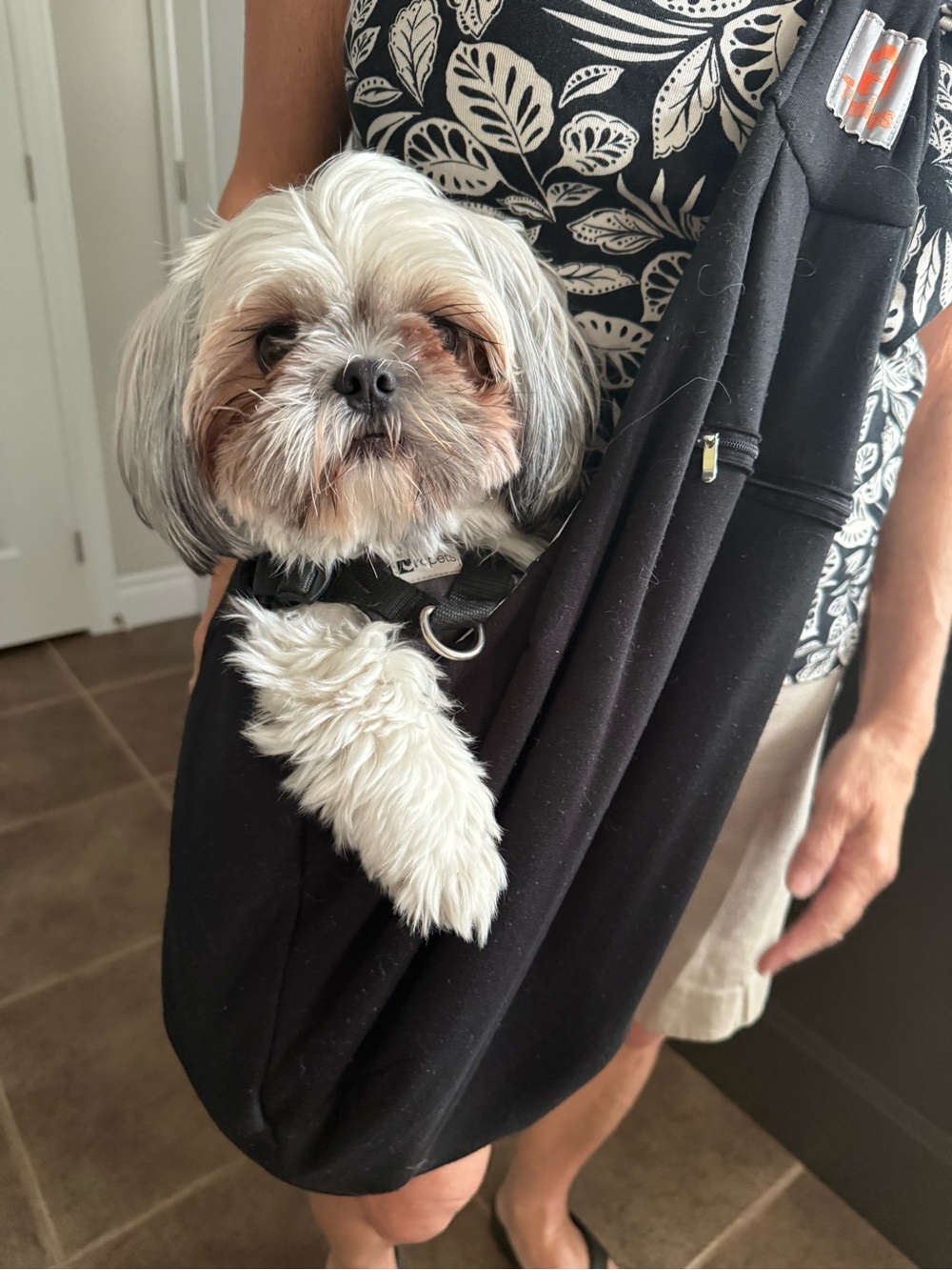 Dog carrier bag